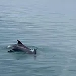 черно море 招待所