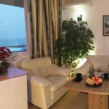 招待所 черно море *